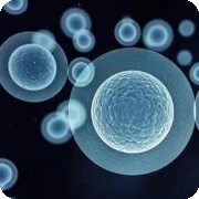 臍帶間充質干細胞